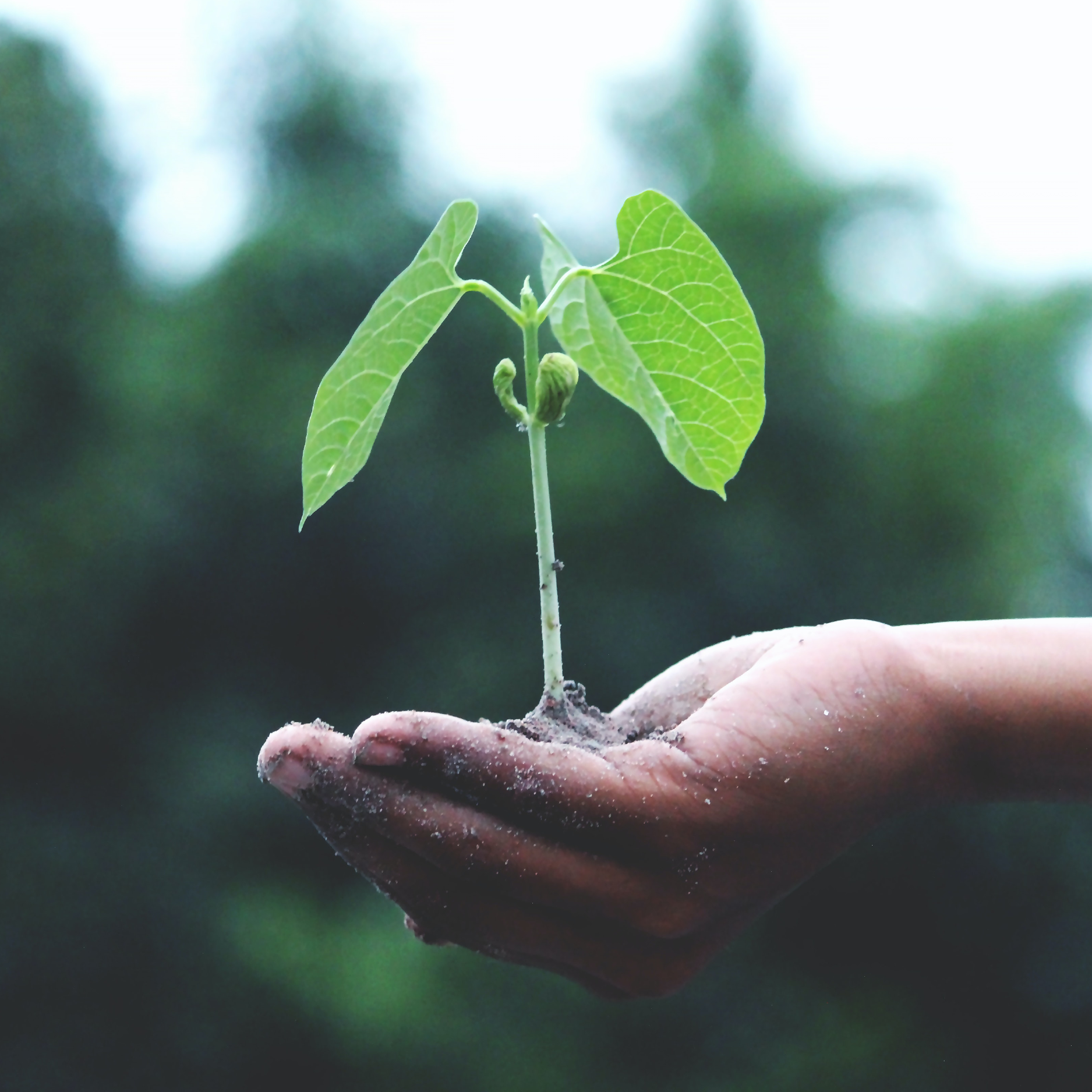 Sustainable and Science-backed Wellness